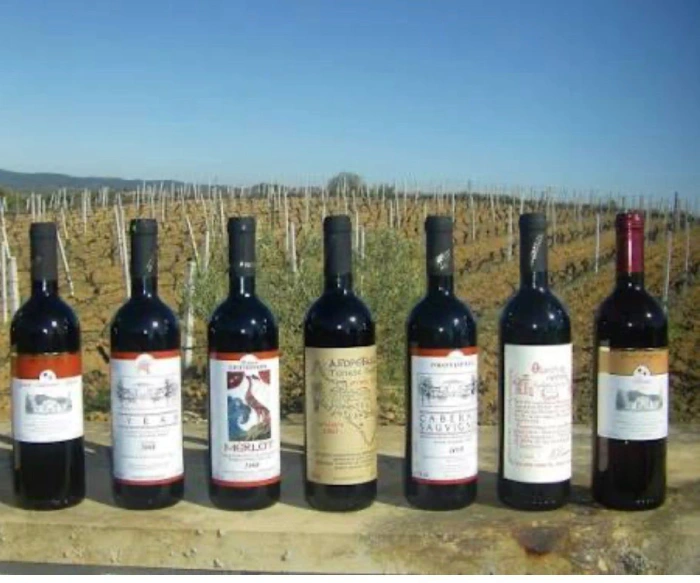 Vineyard
